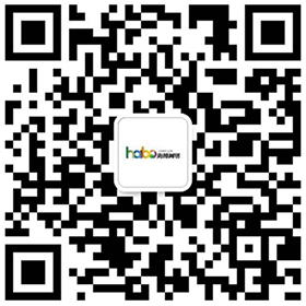 扫描++/加微信； 绵阳礼品与花卉, 绵阳礼品与花卉，网站建设